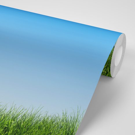 TAPETA OBLOHA NAD LOUKOU - TAPETY PŘÍRODA - TAPETY