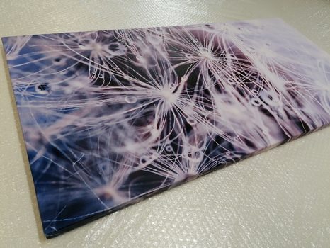 WANDBILD MAKRO DES LÖWENZAHNS - BILDER BLUMEN - BILDER