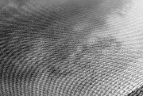 WANDBILD EINSAME BÄUME IN SCHWARZ-WEISS - SCHWARZ-WEISSE BILDER - BILDER