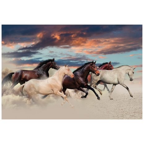 CARTA DA PARATI – MANDRIA DI CAVALLI - CARTA DA PARATI ANIMALI - CARTA DA PARATI