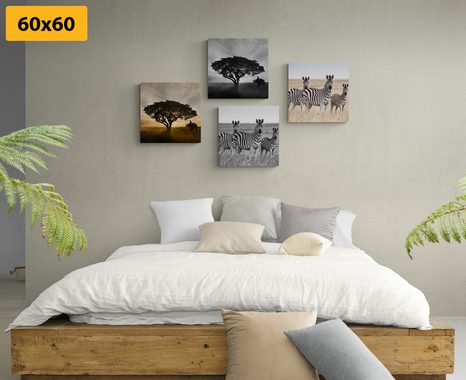 CANVAS PRINT SET ANIMALS LIVING ON THE SAVANNAH - SET OF PICTURES - PICTURES