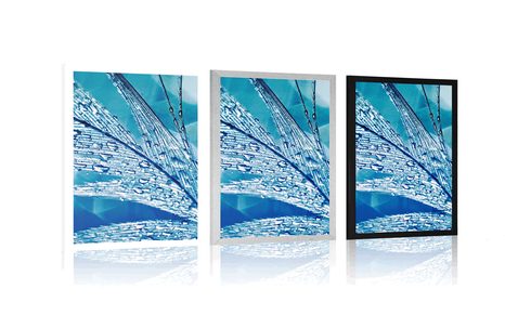 POSTER MORGENTAUTROPFEN - STILLLEBEN - POSTER