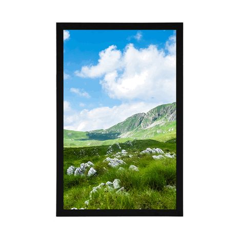 POSTER – VALLE IN MONTENEGRO - NATURA - POSTER