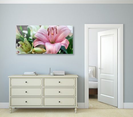CANVAS PRINT PINK LILY IN BLOOM - PICTURES FLOWERS - PICTURES