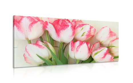 CANVAS PRINT TULIPS WITH A SPRING TOUCH - PICTURES FLOWERS - PICTURES