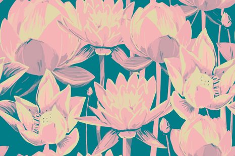 TAPETA ROMANTYCZNE LILIE WODNE - TAPETY KWIATY - TAPETY