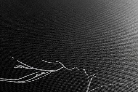 OBRAZ REPER V ČERNOBÍLÉM - DOVIDO CHALLENGE - OBRAZY