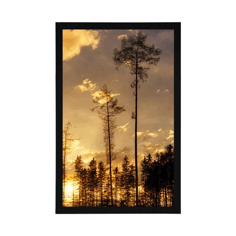 POSTER – SERA NEL BOSCO - NATURA - POSTER