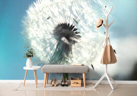 SAMOLEPÍCÍ FOTOTAPETA DETAIL PAMPELIŠKY - SAMOLEPÍCÍ TAPETY - TAPETY