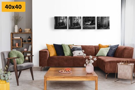 SET OBRAZŮ LESNÍ ZVÍŘATA V ČERNOBÍLÉM PROVEDENÍ - SESTAVY OBRAZŮ - OBRAZY