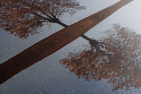 WANDBILD STERNENHIMMEL ÜBER EINEM ALLEINSTEHENDEN BAUM - BILDER VON NATUR UND LANDSCHAFT - BILDER