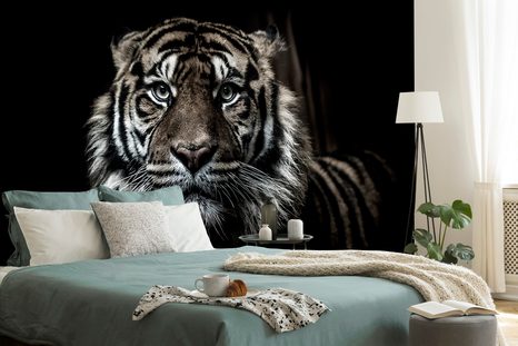 SELBSTKLEBENDE FOTOTAPETE TIGER - SELBSTKLEBENDE TAPETEN - TAPETEN