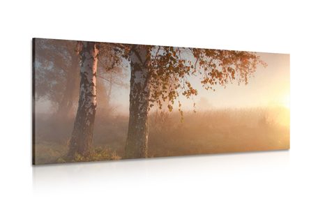 CANVAS PRINT MORNING SUNRISE OVER THE FOREST - PICTURES OF NATURE AND LANDSCAPE - PICTURES