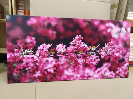 WANDBILD DETAILLIERTE KIRSCHBAUMBLÜTEN - BILDER BLUMEN - BILDER
