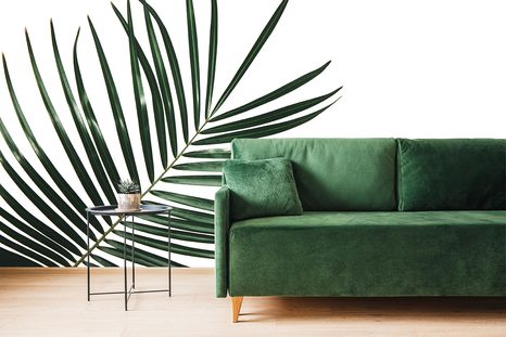 SAMOLEPÍCÍ FOTOTAPETA NÁDHERNÝ PALMOVÝ LIST - SAMOLEPÍCÍ TAPETY - TAPETY