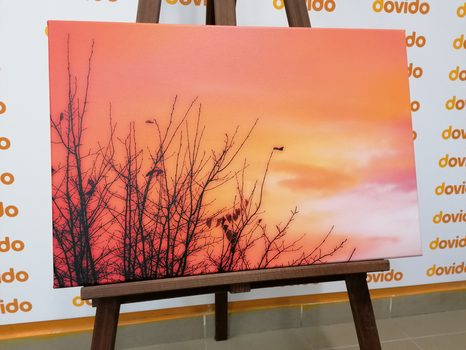 TABLOU CERUL COLORAT - TABLOU NATURĂ ȘI PEISAJE NATURALE - TABLOURI