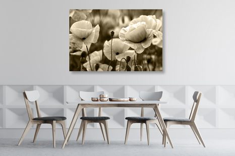 QUADRO SU TELA – CAMPO DI PAPAVERI SELVATICI IN VERSIONE SEPPIA - QUADRI BIANCO E NERO - STAMPE E QUADRI