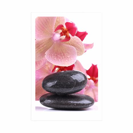 POSTER SPA STEINE UND ORCHIDEE - FENG SHUI - POSTER