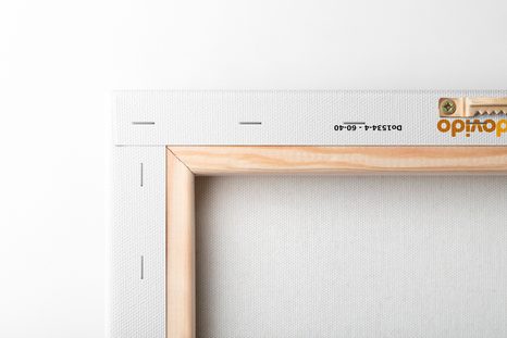 OBRAZ MINIMALISTICKÝ KVET NA BIELOM POZADÍ NO4 - OBRAZY - 🔥 TOTÁLNY VÝPREDAJ