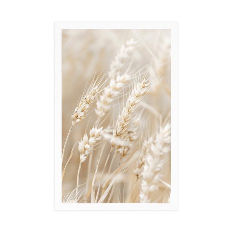 PLAKAT VLATI PŠENICE - BOTANIČKI - PLAKATI