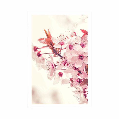 AFFICHE – FLEURS DE CERISIER ROSES - FLEURS - AFFICHES