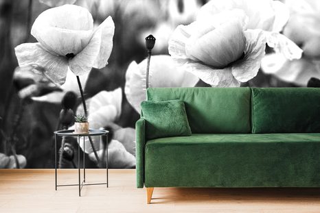 FOTOTAPETA ČERNOBÍLÉ POLE DIVOKÝCH MÁKŮ - ČERNOBÍLÉ TAPETY - TAPETY