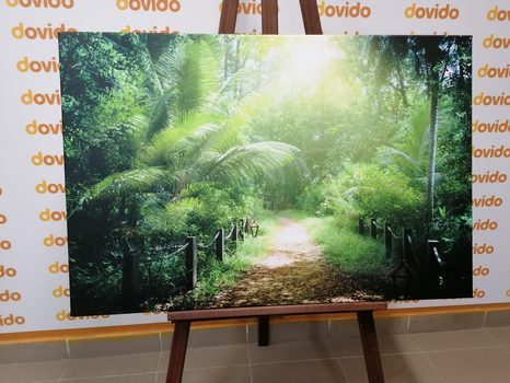 WANDBILD WEG AUF DEN SEYCHELLEN - BILDER VON NATUR UND LANDSCHAFT - BILDER