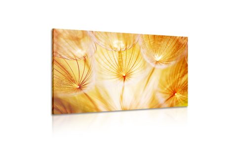 КАРТИНА НА ПЛАТНО – ГЛУХАРЧЕ В ПРЕКРАСНО ИЗПЪЛНЕНИЕ - КАРТИНИ С ЦВЕТЯ - КАРТИНИ