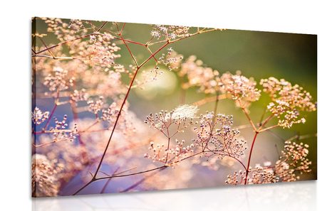 WANDBILD STILLLEBEN MIT BLUMEN - BILDER VON NATUR UND LANDSCHAFT - BILDER