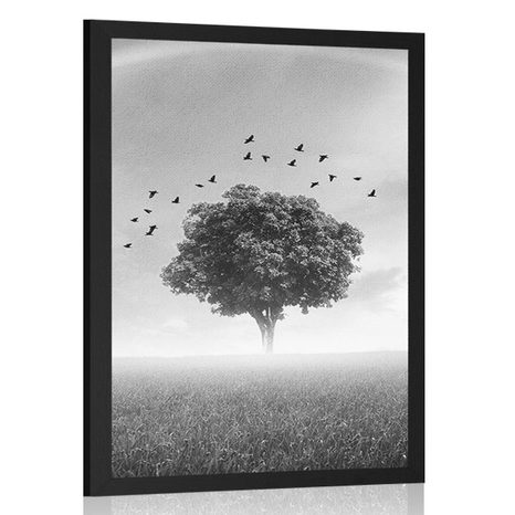 POSTER ALLEINSTEHENDER BAUM AUF DER WIESE IN SCHWARZ-WEISS - SCHWARZ-WEISS - POSTER