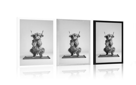 POSTER – MUCCA CHE FA YOGA SUL TAPPETINO - BUFALI E MUCCHE - POSTER