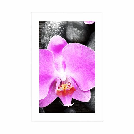 POSTER – MAGNIFICA ORCHIDEA E PIETRE - FENG SHUI - POSTER