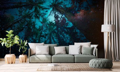 WALLPAPER NIGHT IN THE FOREST - WALLPAPERS FOREST - WALLPAPERS