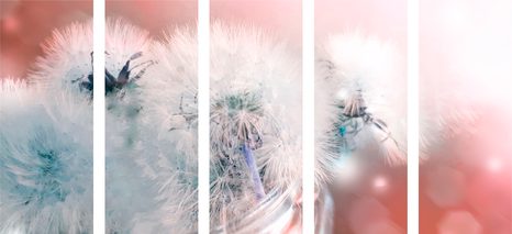 5-DÍLNÝ OBRAZ PAMPELIŠKA S ABSTRAKTNÍMI PRVKY - OBRAZY KVĚTŮ - OBRAZY