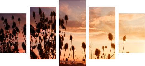 5-TEILIGES WANDBILD GRASHALME AUF DEM FELD - BILDER VON NATUR UND LANDSCHAFT - BILDER