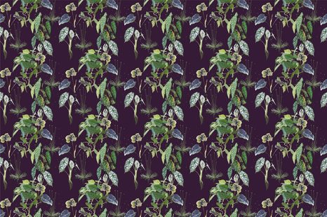 SAMOLEPÍCÍ TAPETA ROSTLINY NA NOČNÍ OBLOZE - SAMOLEPÍCÍ TAPETY - TAPETY