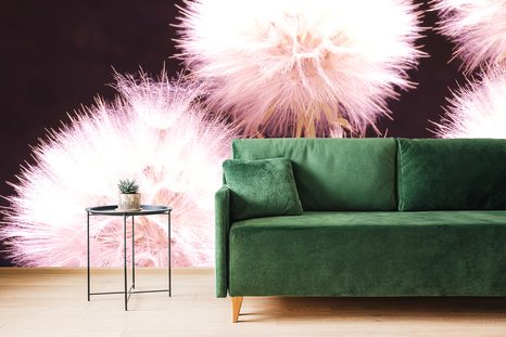 SELF ADHESIVE WALL MURAL DANDELION ON A DARK BACKGROUND - SELF-ADHESIVE WALLPAPERS - WALLPAPERS