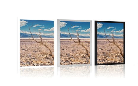 PLAKÁT ZEMĚ SUCHA - PŘÍRODA - PLAKÁTY