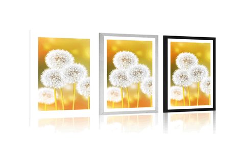 PLAKAT S PASPARTUOM PAHULJASTI MASLAČAK - CVIJEĆE - PLAKATI