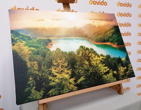 КАРТИНА НА ПЛАТНО – РЕКА В ЗЕЛЕНА ГОРА - КАРТИНИ НА ПРИРОДАТА И ПЕЙЗАЖИ - КАРТИНИ