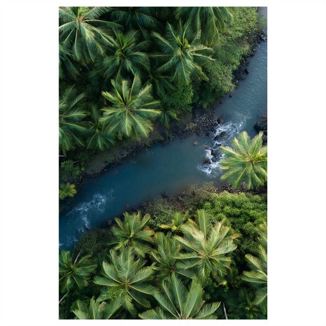 OBRAZ ZELENÝ RÁJ S PALMAMI - OBRAZY STROMY A LISTY - OBRAZY