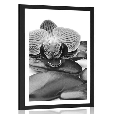 POSTER WITH MOUNT MASSAGE WELLNESS STONES IN BLACK AND WHITE - BLACK AND WHITE - POSTERS
