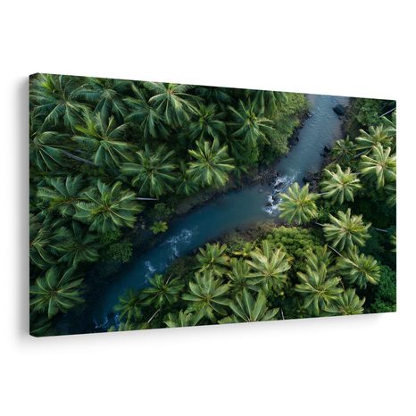 WANDBILD TROPISCHER FLUSS IM DSCHUNGEL - BILDER BÄUME UND LAUB - BILDER