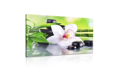 КАРТИНА НА ПЛАТНО – ЯПОНСКА ОРХИДЕЯ - ФЪН ШУЙ КАРТИНИ - КАРТИНИ