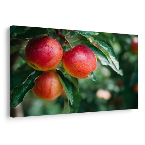 OBRAZ ČERSTVÉ JABLKA NA VĚTVI - OBRAZY JÍDLA A NÁPOJE - OBRAZY