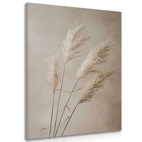 OBRAZ SUCHÁ PAMPOVÁ TRÁVA - OBRAZY - TOTÁLNÍ VÝPRODEJ 🔥