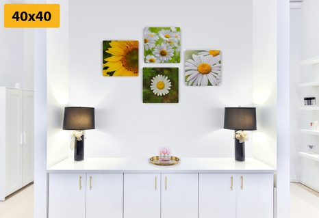 SET DI QUADRI – FIORI DI CAMPO - COLLEZIONI DI QUADRI - STAMPE E QUADRI