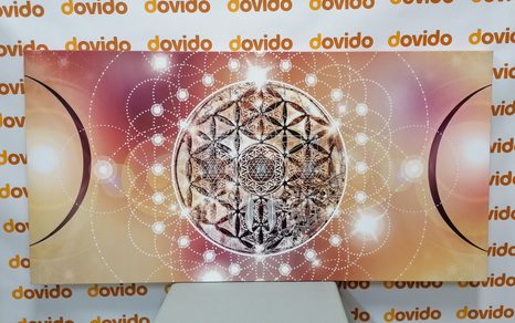 WANDBILD BEZAUBERNDES MANDALA - BILDER MIT FENG SHUI-MOTIVEN - BILDER