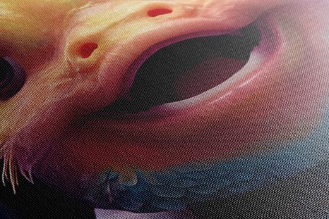 OBRAZ RYBKA SE SLUCHÁTKY - OBRAZY PÁRTY ZVÍŘATA SE SLUCHÁTKY - OBRAZY