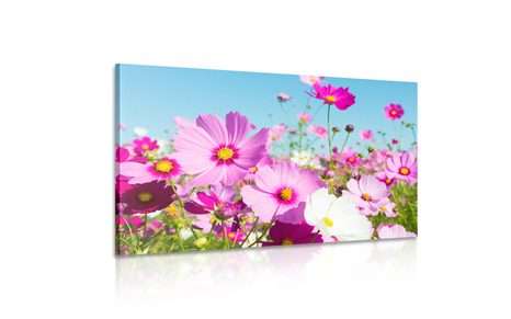 TABLOU PAJIȘTE CU FLORI DE PRIMĂVARĂ - TABLOU FLORI - TABLOURI